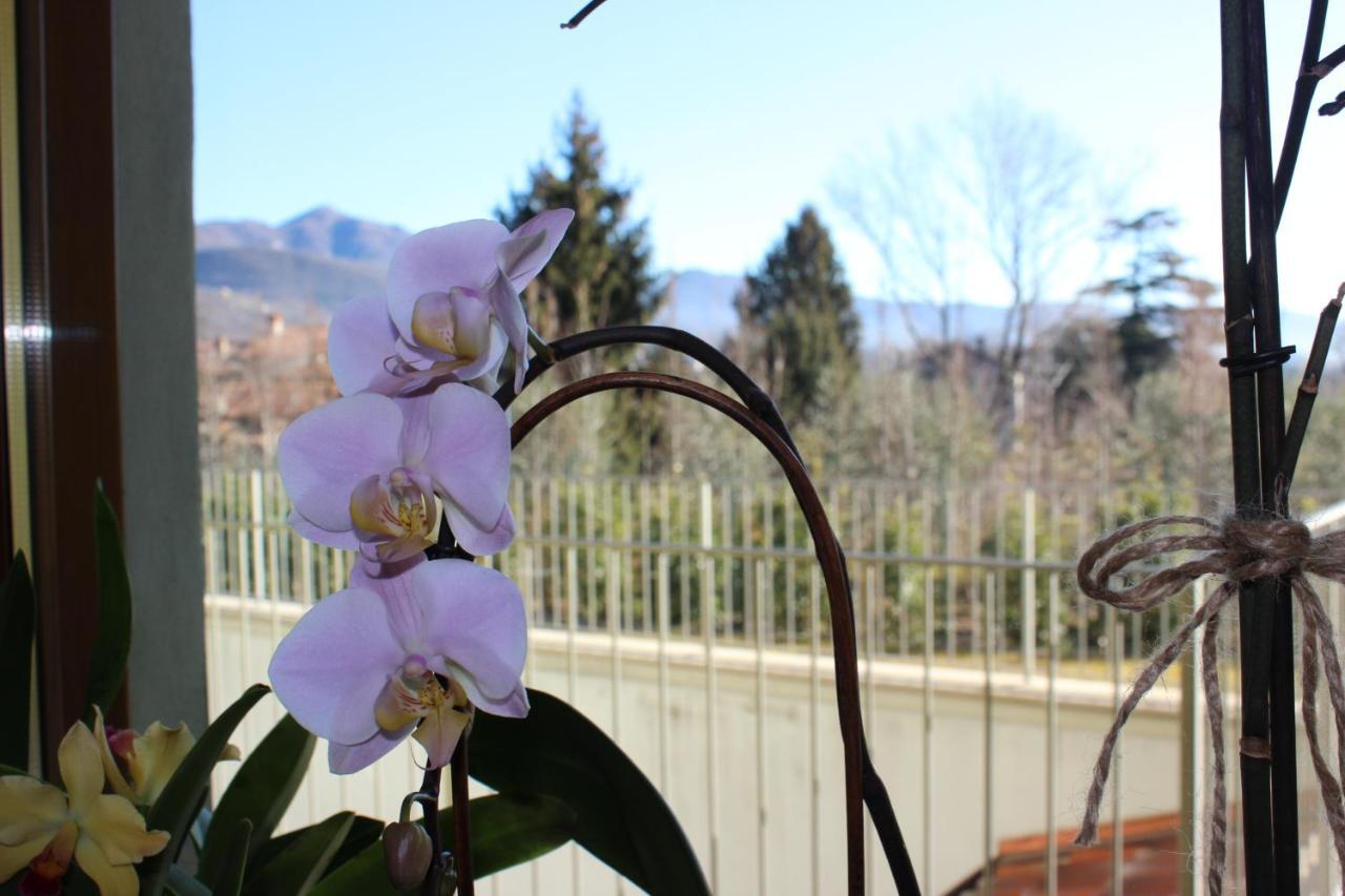 Due Lune Bed and breakfast Almenno San Salvatore